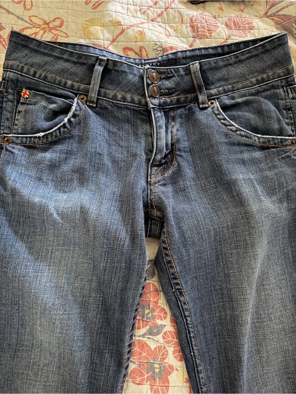 Hudson Jeans Women's Y2K Low Rise Boot Cut Jeans Size 27 Old School Chic